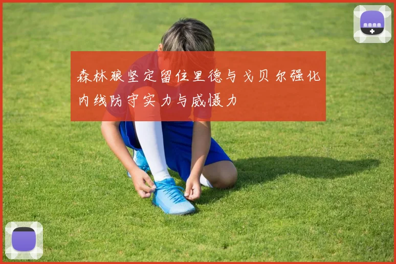 森林狼坚定留住里德与戈贝尔强化内线防守实力与威慑力