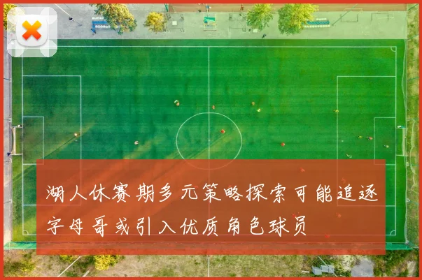 湖人休赛期多元策略探索可能追逐字母哥或引入优质角色球员